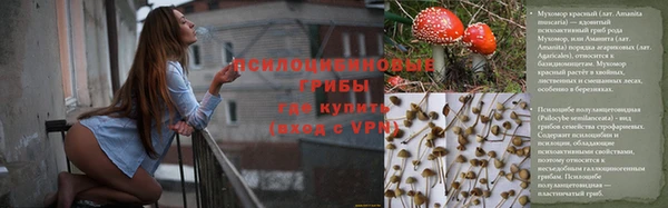 ПСИЛОЦИБИНОВЫЕ ГРИБЫ Алексин