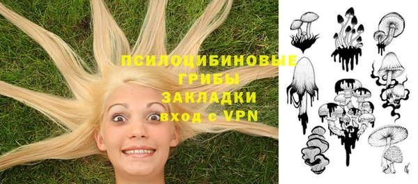 МДМА Алексеевка