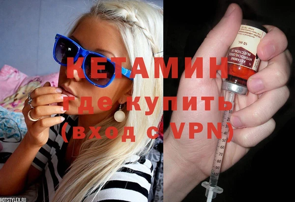 крисы Няндома